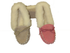 Ladies Suede Moccasin with wool lining and collar | Teresa